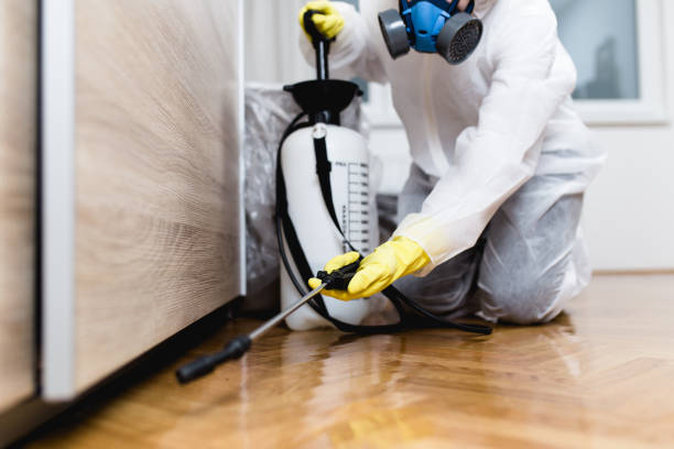 Reliable Bloomer, WI Pest Control Solutions