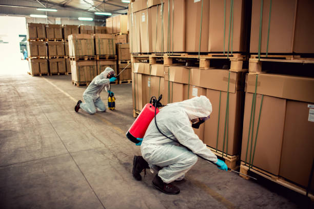 Best Pest Control Near Me in Bloomer, WI