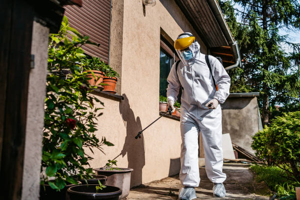 Best Wasp Removal Services  in Bloomer, WI