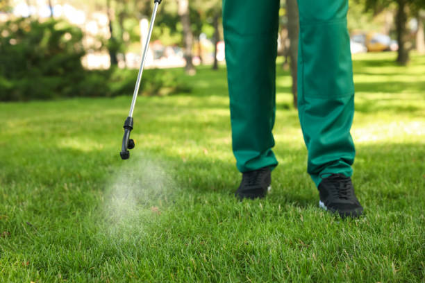 Best Mosquito Control Services  in Bloomer, WI