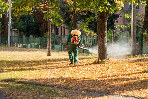 Professional Pest Control in Bloomer, WI